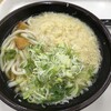 きっちょううどん 橘通店