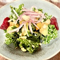 THE CONDER HOUSE -  THE CONDER HOUSE -