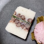 마이스즈메 - 백藤 클로즈업