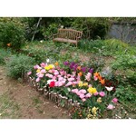 カフェ おきもと - 