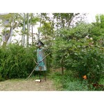 カフェ おきもと - 