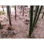 カフェ おきもと - 