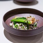 レストラン オオツ - 2025.4 山菜リゾット（コゴミ、ウコギ科の山菜のタカノツメ、野蒜、羊脂で炒めた分葱）