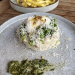 バードツリー - 