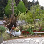 ガトー・プーリア - 