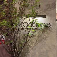 ロドラント ミノルナキジン - 