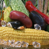 蓮 - カウンターの上には夏野菜がいっぱい！