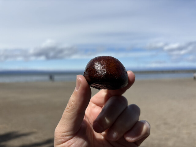 松栄堂 本店 - 筒井（和菓子）の写真