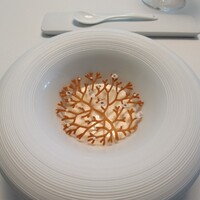 Plaiga TOKYO - 