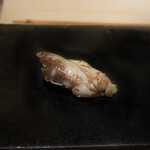 鮨 海界 - トリガイ