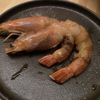 STEAMAN - 