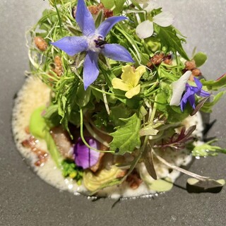 オトワ レストラン