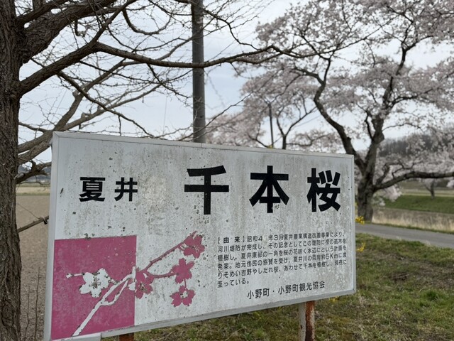 味楽 - 平田村その他（ラーメン）の写真