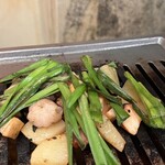 ミリネヤンコプチャン - 