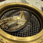 肉の匠 将泰庵 - 