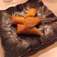 CINA New Modern Chinese - 