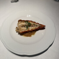 カシータ -  カシータ -