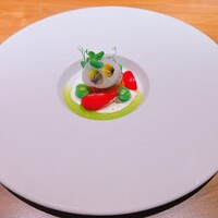 MOTORA  - 