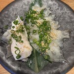 魚河岸酒場FUKU浜金 - 