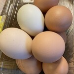 むこたま - これは楽しい（＾∇＾）