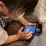 やきとりの扇屋 - 