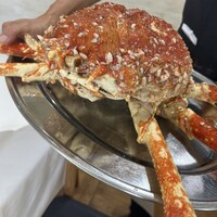 ウシマル - 