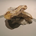 フロリレージュ - 牡蠣のスープ