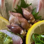 黒尊 - ホタルイカ