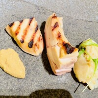 SCALAE - 