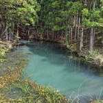 HAKKEI - 本砂金青池