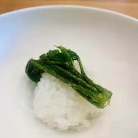柚木元 - ① 凌ぎ：コシアブラの素揚げ？の飯蒸し