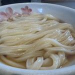 おうどん 瀬戸晴れ - ぶっかけ（熱）