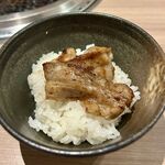 近江うし 焼肉 にくTATSU - 火の豚