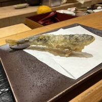 銀座 よこ田 - 