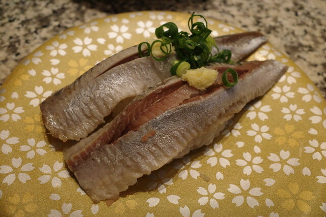 はこたろう たろうさん専用 こたろうさん専用 Buy ZX 5000 'A-ZX Series - Torsion