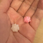 山玄茶 - 金平糖おまけ❣️