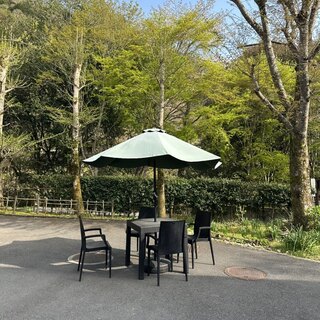 霧の森 茶フェ ゆるり_2