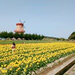 らーめん 松喜 - 