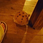 So Spirited - 足元には蚊取り線香（カメ）