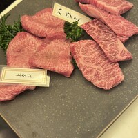 PONGA PREMIUM -  PONGA PREMIUM -