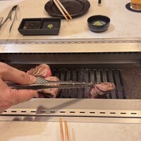 PONGA PREMIUM -  PONGA PREMIUM -