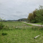 巡るインド - テラス席からの風景