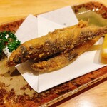 まさ亀 - 