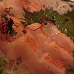 季節料理 なみき - 2014' 8/6