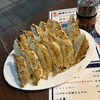 元祖信州ひとくち餃子マルフク