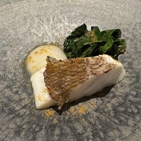XEX TOKYO / Salvatore Cuomo Bros. - 