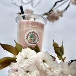 オズワルド珈琲店 - さくらとサクラ