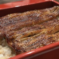 新宿 うなぎ菊川 - 鰻重　アップ