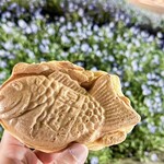 おめで鯛焼き本舗 - 料理写真:iPhone15 Pro メインカメラ