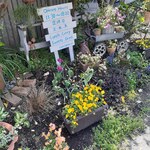 cafe うみのトナリ - 